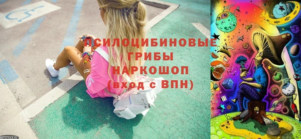 прущие грибы Кулебаки