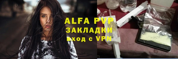 прущие грибы Кулебаки
