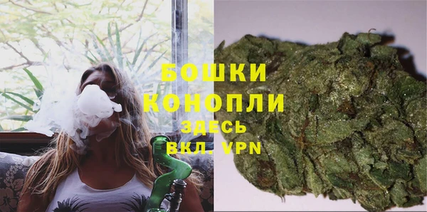 прущие грибы Кулебаки
