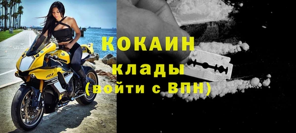 прущие грибы Кулебаки