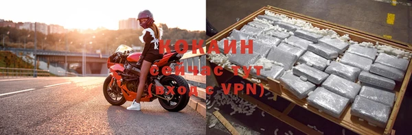 прущие грибы Кулебаки
