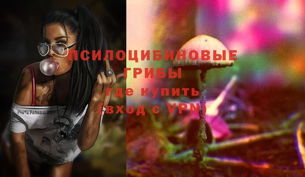 прущие грибы Кулебаки