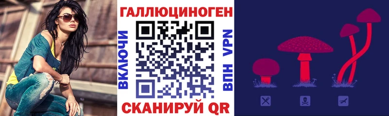 закладка Ермолино Галлюциногенные грибы Psilocybe